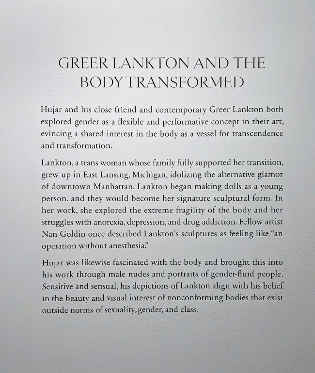 'Greet Lankton and the Body Transformed' wall text from the exhibition