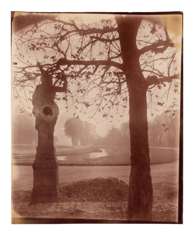 Eugène Atget (French, 1857-1927) 'Saint-Cloud [19h matin, mars 1926]' 1926