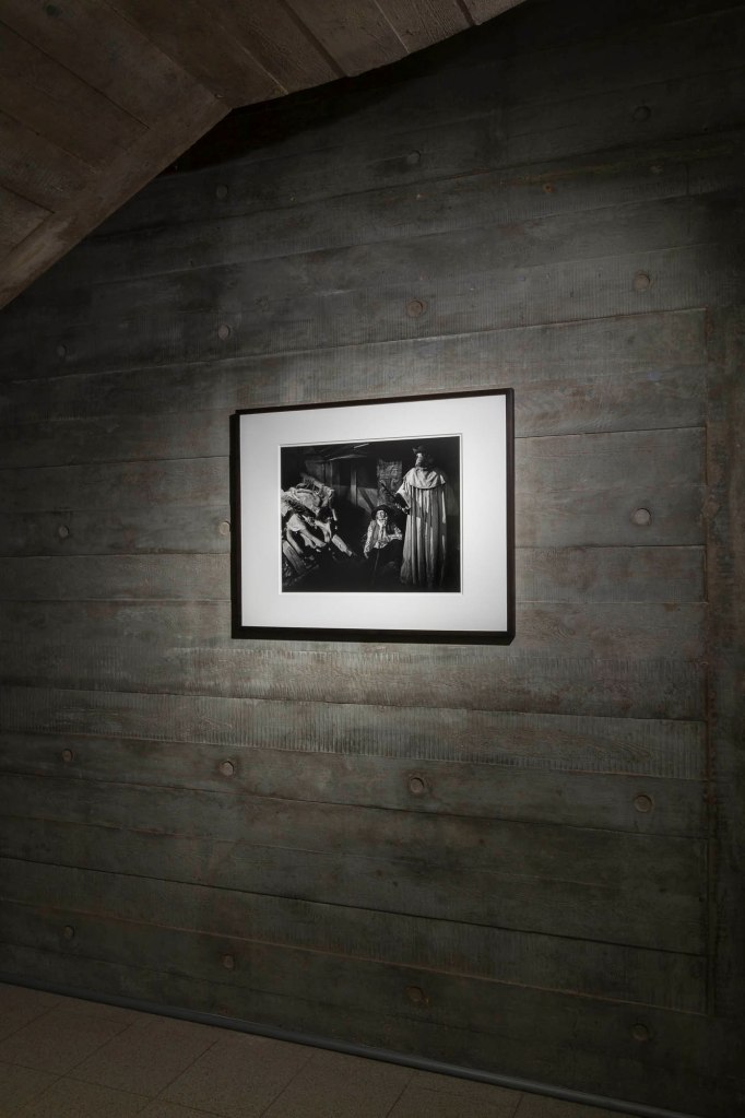 Installation view of Hiroshi Sugimoto, 'The Plague' 1994