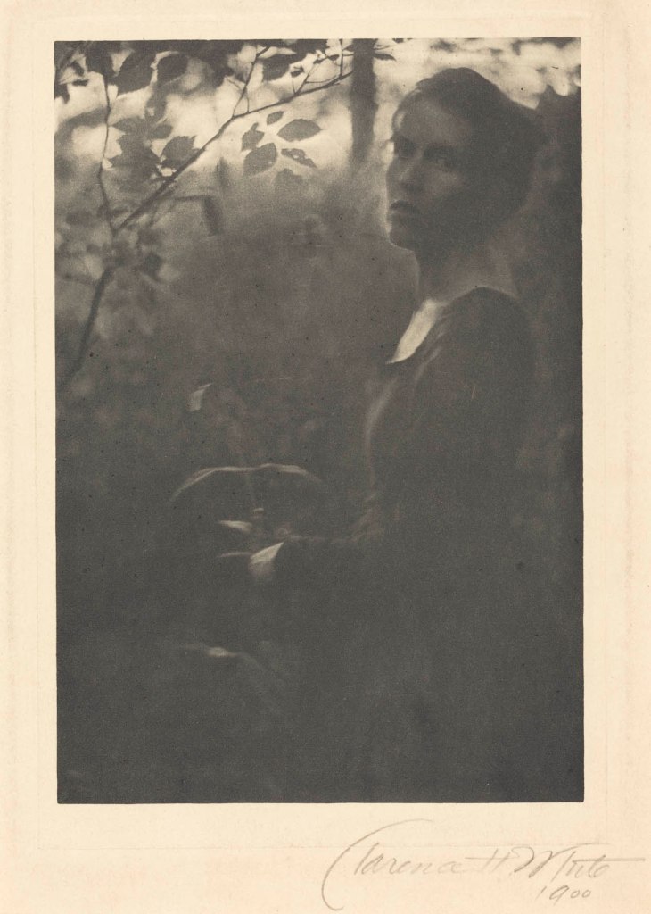 Clarence H. White (American, 1871-1925) 'Edge of the Woods, Evening' 1900