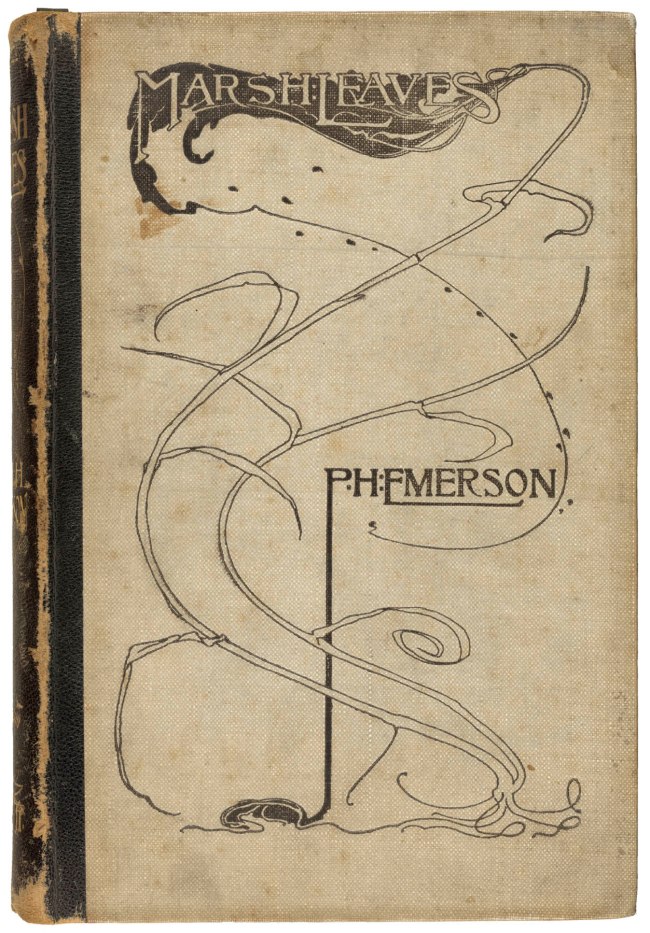 Peter Henry Emerson (British born Cuba, 1856-1936) 'Marsh Leaves' Published 1895