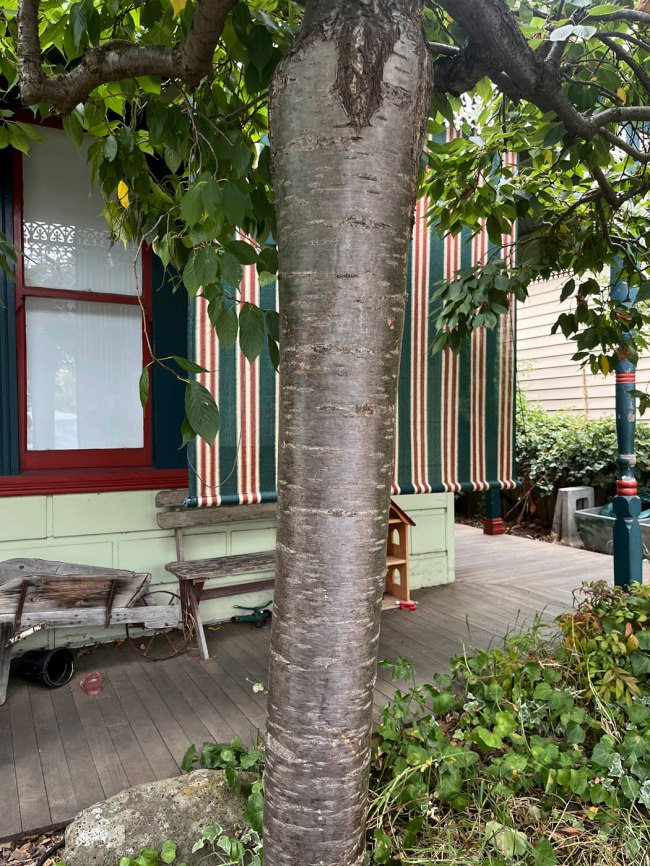 Ian Lobb (Australian, 1948-2023) 'A small moment with...' 25 February 2023