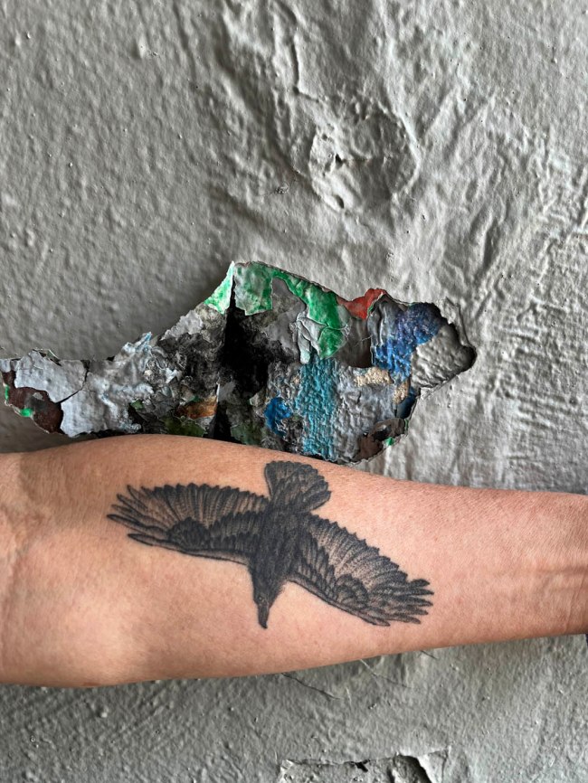 Ian Lobb (Australian, 1948-2023) 'Alex' 21 December 2022