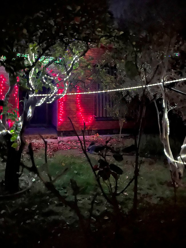 Ian Lobb (Australian, 1948-2023) 'Untitled (Mother)' 30 April 2023