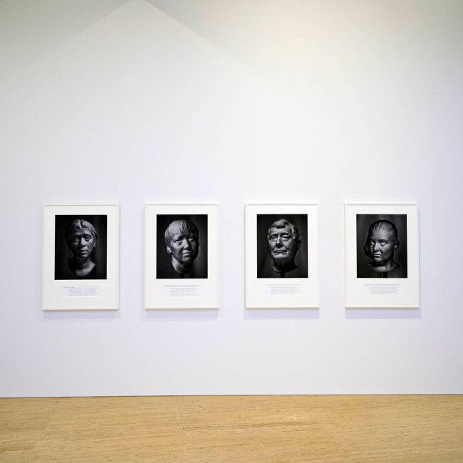 Installation view of the exhibition 'Hoda Afshar: A Curve is a Broken Line' at the Art Gallery of New South Wales, 2023 showing work from the series 'Agonistes' 2020