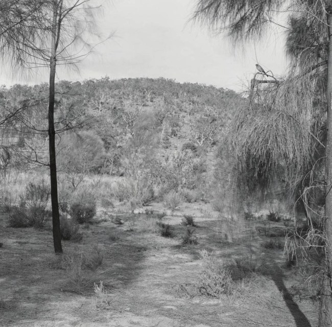 Ian Lobb (Australian, 1948-2023) 'Untitled' 1989 from the 'Black Range' series 1986-1989