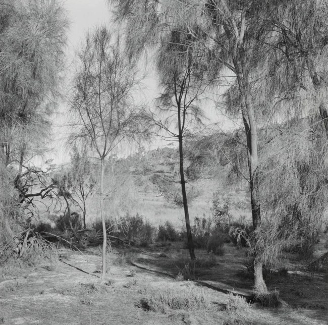 Ian Lobb (Australian, 1948-2023) 'Untitled' 1989 from the 'Black Range' series 1986-1989