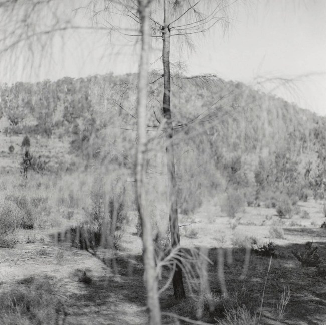 Ian Lobb (Australian, 1948-2023) 'Untitled' 1989 from the 'Black Range' series 1986-1989