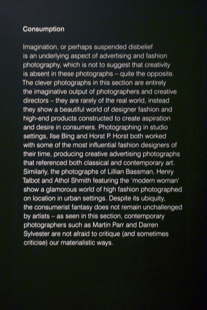Consumption wall text from the exhibition