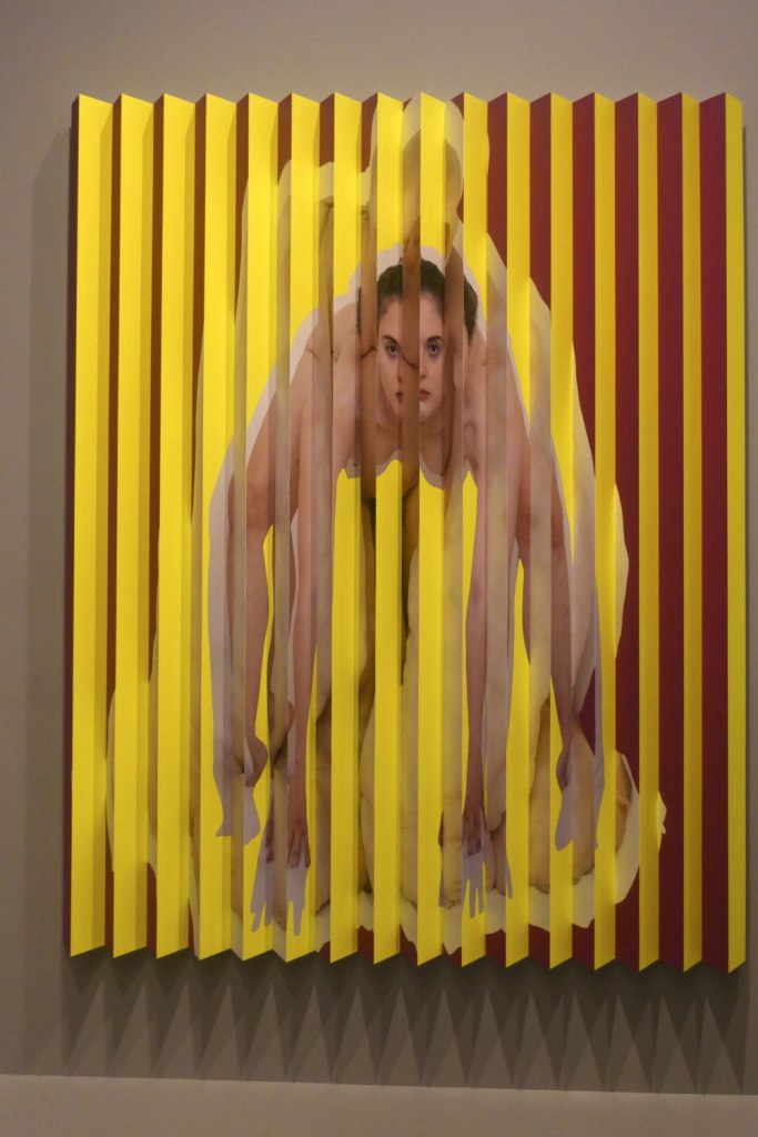 Installation view of the exhibition 'Photography: Real & Imagined' at The Ian Potter Centre: NGV Australia, Melbourne showing Polly Borland's lenticular photograph 'Untitled' (2018)