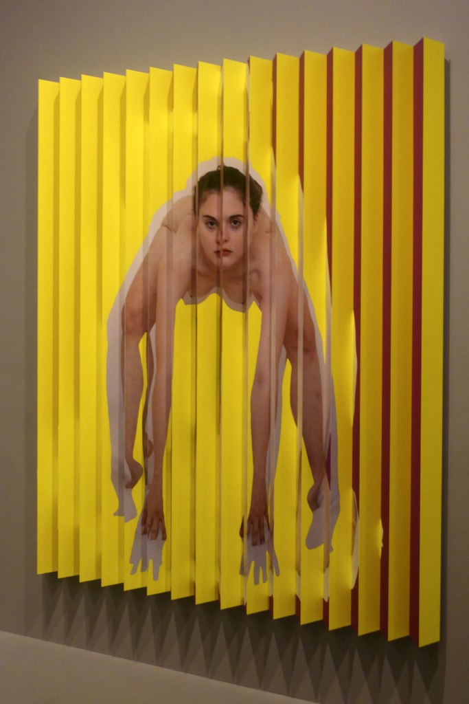 Installation view of the exhibition 'Photography: Real & Imagined' at The Ian Potter Centre: NGV Australia, Melbourne showing Polly Borland's lenticular photograph 'Untitled' (2018)