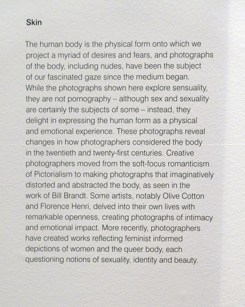 Skin wall text from the exhibition