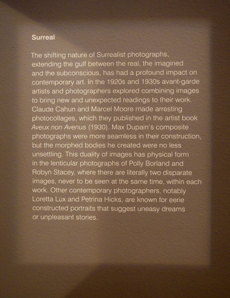Surreal wall text from the exhibition