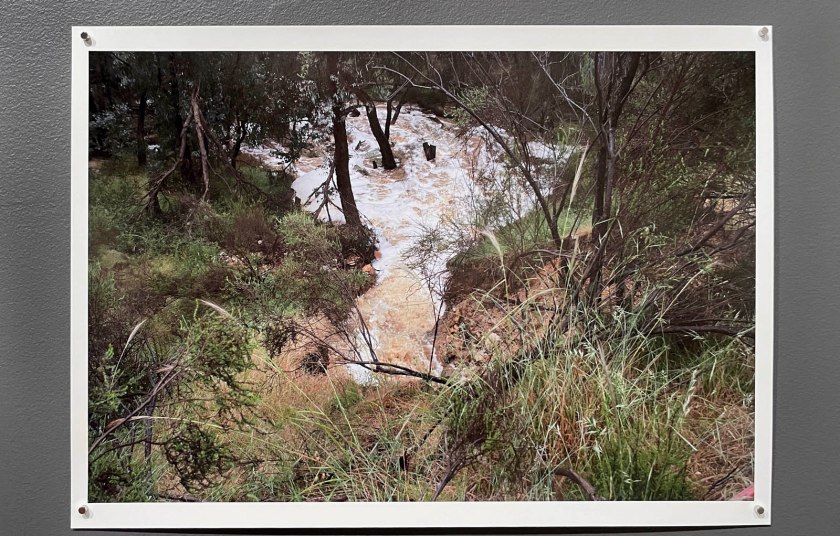 Julie Millowick (Australian, b. 1948) 'Crocodile Reservoir, Fryerstown' 2010