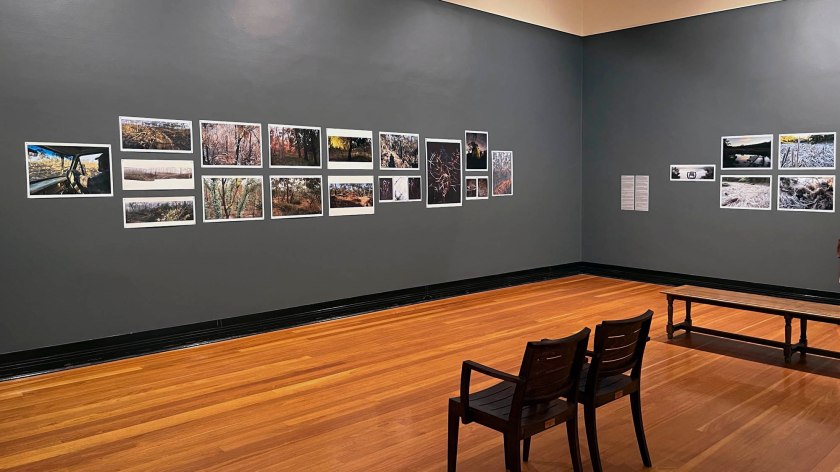Installation view of the exhibition 'Julie Millowick: Surrounding' at the Castlemaine Art Museum