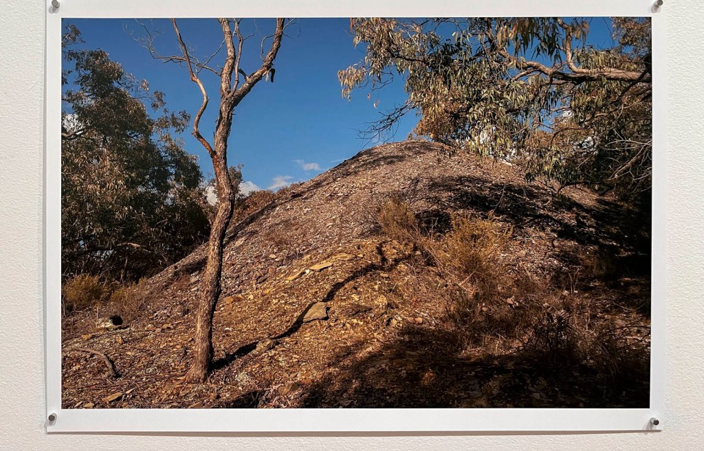 'Julie Millowick: Surrounding' at Castlemaine Art Museum Feb-June 2024