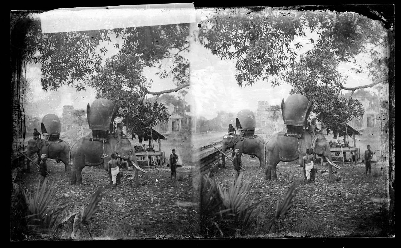John Thomson (Scottish, 1837-1921) 'Elephants outside Angkor Wat' 1866