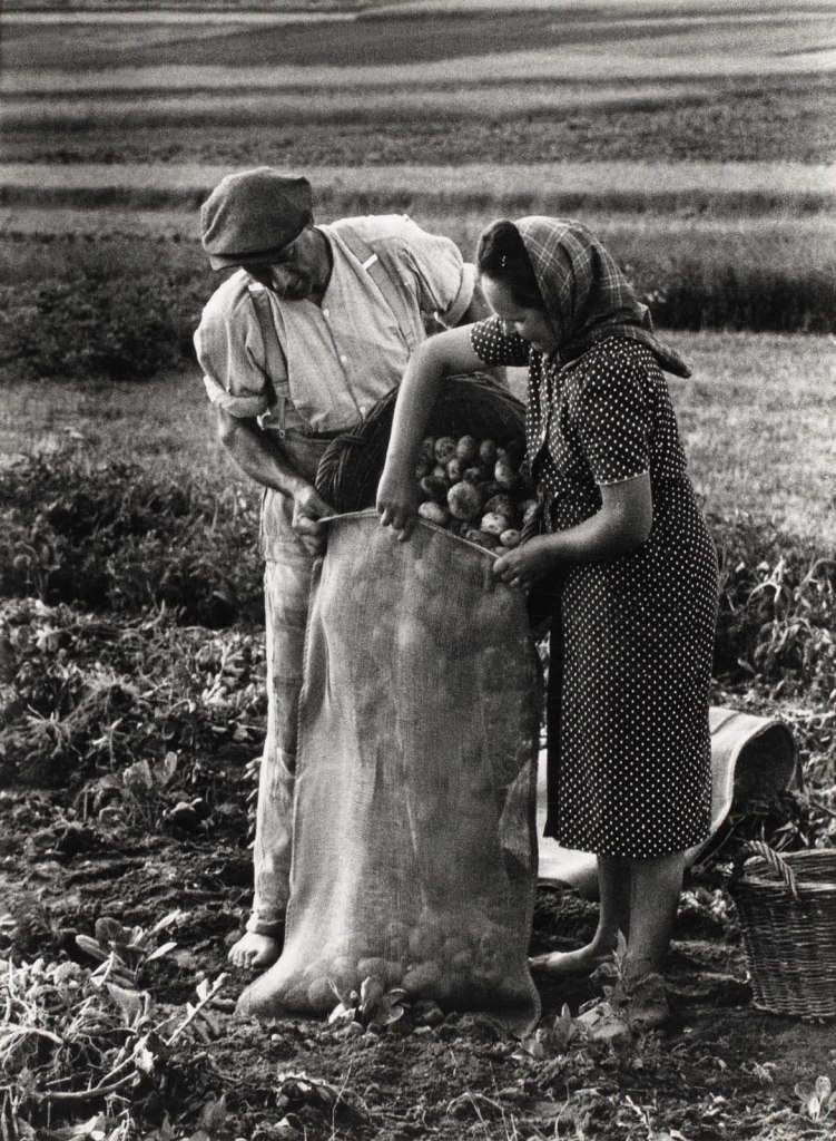Jakob Tuggener (Swiss, 1904­-1988) 'Potato harvest, Müntschemier' (Kartoffelernte, Müntschemier) 1944