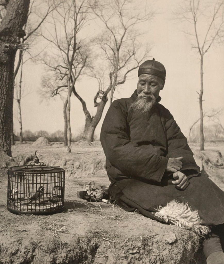 Hedda Morrison, née Hammer (German, 1908-1991) 'Portrait of a Man with a Bird Cage' 1930s