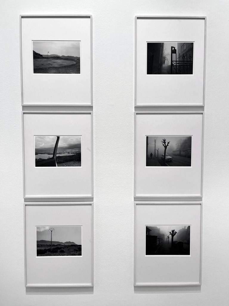 Ulrich Wüst (German, b. 1949) From the series 'Book of the Years. 1978-2008' (installation view)