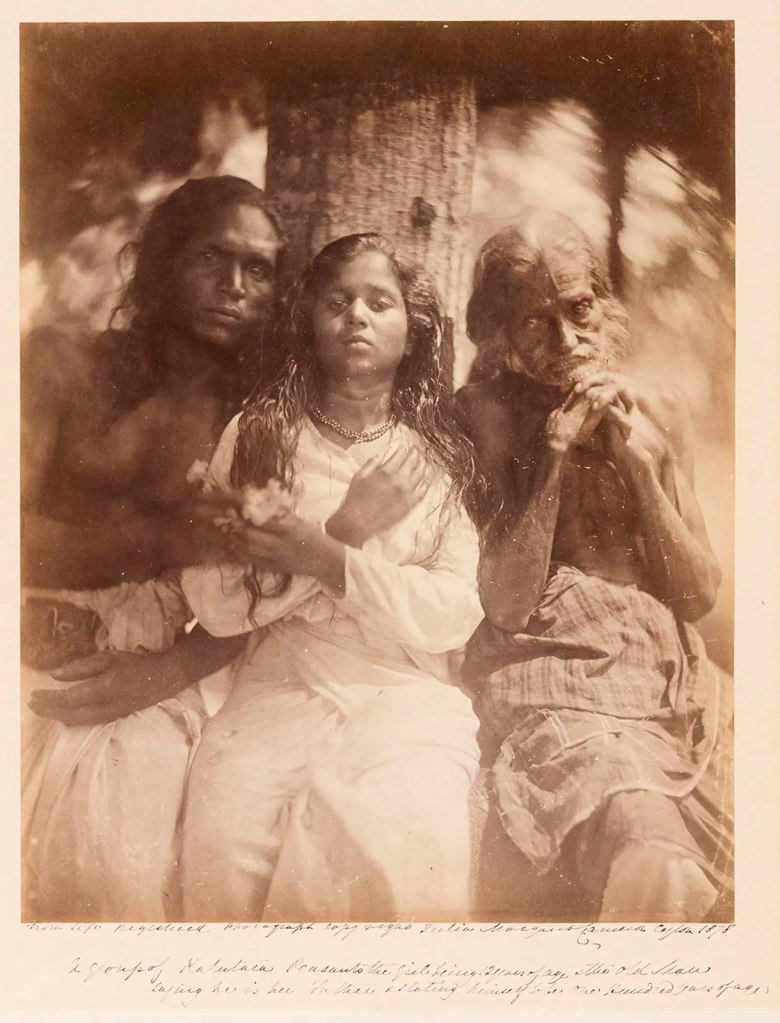 Julia Margaret Cameron (British born India, 1815-1879) 'A Group of Kalutara Peasants' 1878