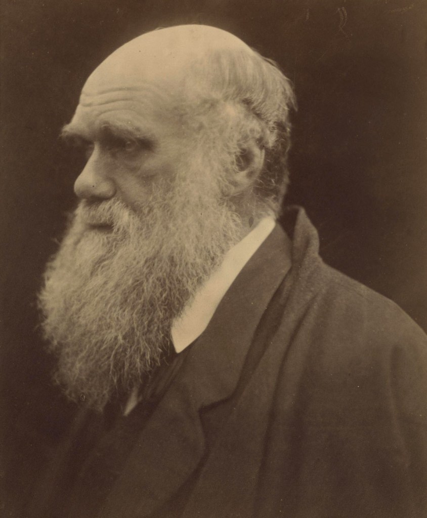 Julia Margaret Cameron (British born India, 1815-1879) 'Charles Darwin' 1868 (photographed), 1875 (printed)