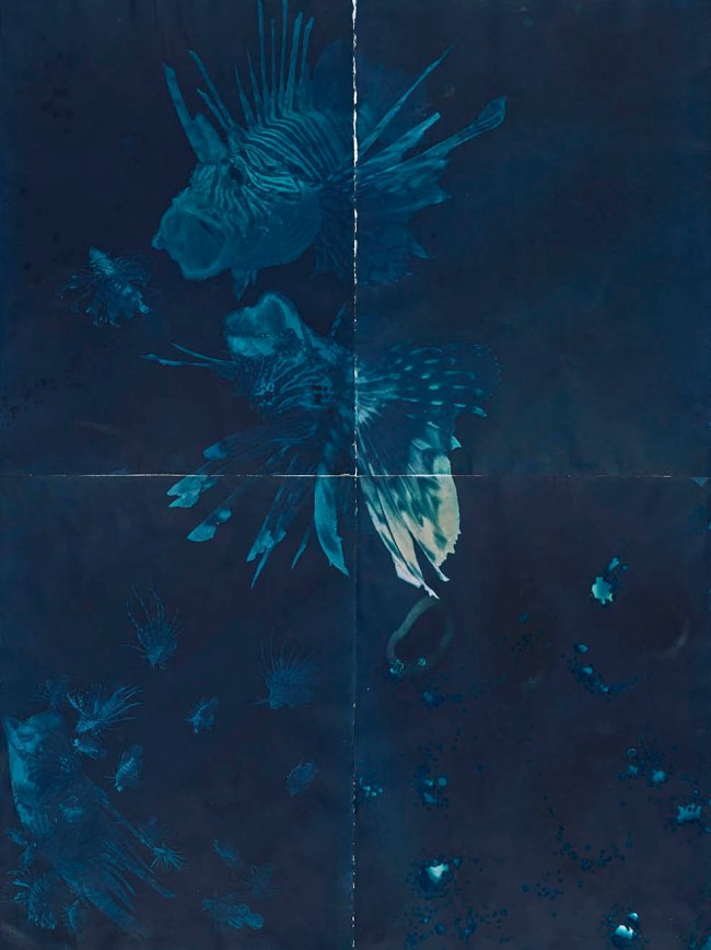 Andrea Chung (American, b. 1978) 'Untitled' 2016