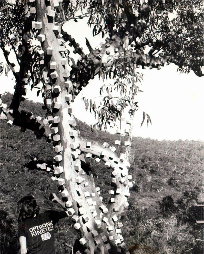 Optronic Kinetics (active c. 1970-72) 'Cubed Tree' 1971