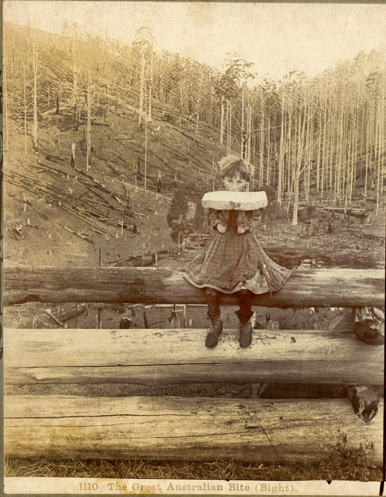 Rose Stereograph Company, Melbourne (Australian)(publisher) 'The Great Australian Bite (Bight)' c. 1895
