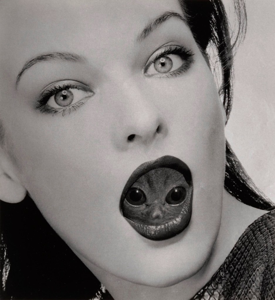 Elfriede Mejchar (Austrian, 1924-2020) From the series 'Nobody is Perfect' 1989-2007