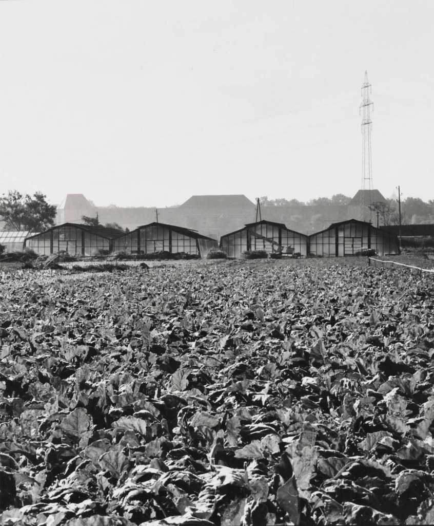 Elfriede Mejchar (Austrian, 1924-2020) 'Vegetable Tunnels. Simmering Market Gardens' 1990-1994