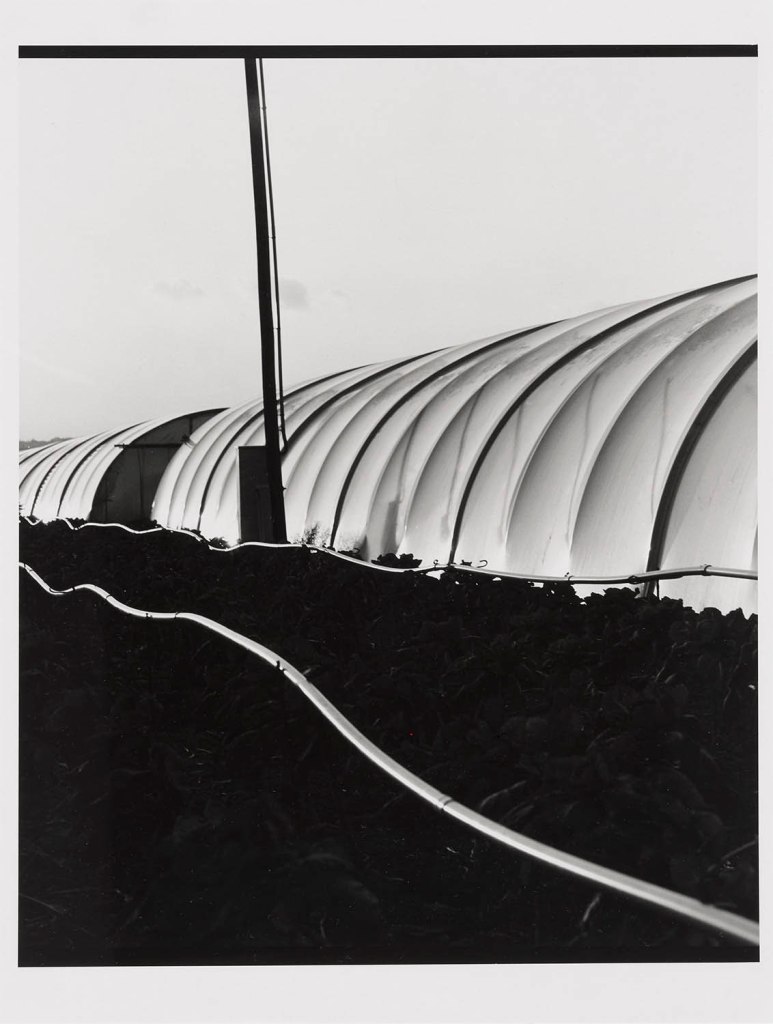 Elfriede Mejchar (Austrian, 1924-2020) 'Vegetable Tunnels. Simmering Market Gardens' 1990-1994