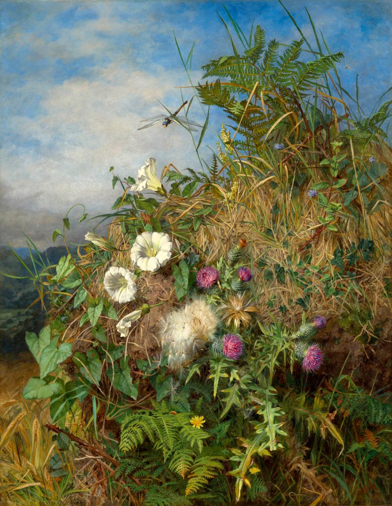 Martha Darley Mutrie (British, 1824-1885) 'Wild Flowers at the Corner of a Cornfield' 1855-1860