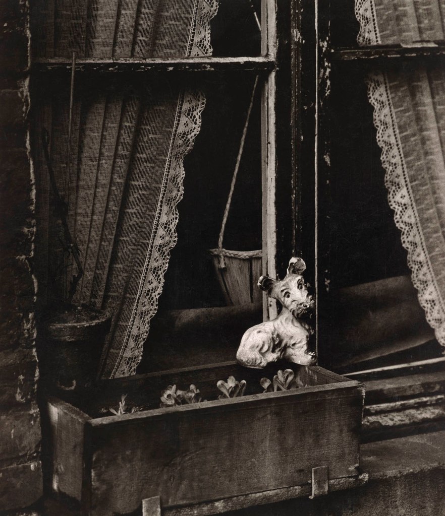 Chargesheimer (Carl-Heinz Hargesheimer, German 1924-1971) 'Unter Krahnenbäumen, Cologne' Around 1958