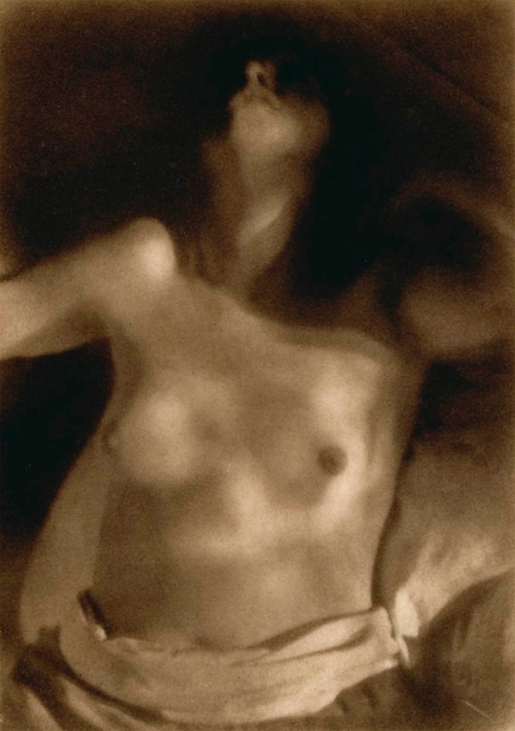 Heinrich Kühn (Austrian born Germany, 1866-1944) 'Female torso in sunlight' c. 1920