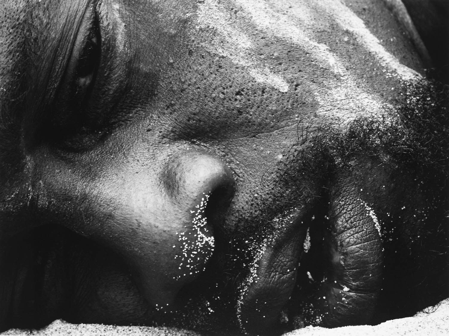 Jorge Luis Álvarez Pupo (Cuban, b. 1970) 'Wandering Paths No. 15' (Caminos errantes No. 15) 2009 Jorge Luis Álvarez Pupo (Cuban, b. 1970) 'Wandering Paths No. 15' (Caminos errantes No. 15) 2009