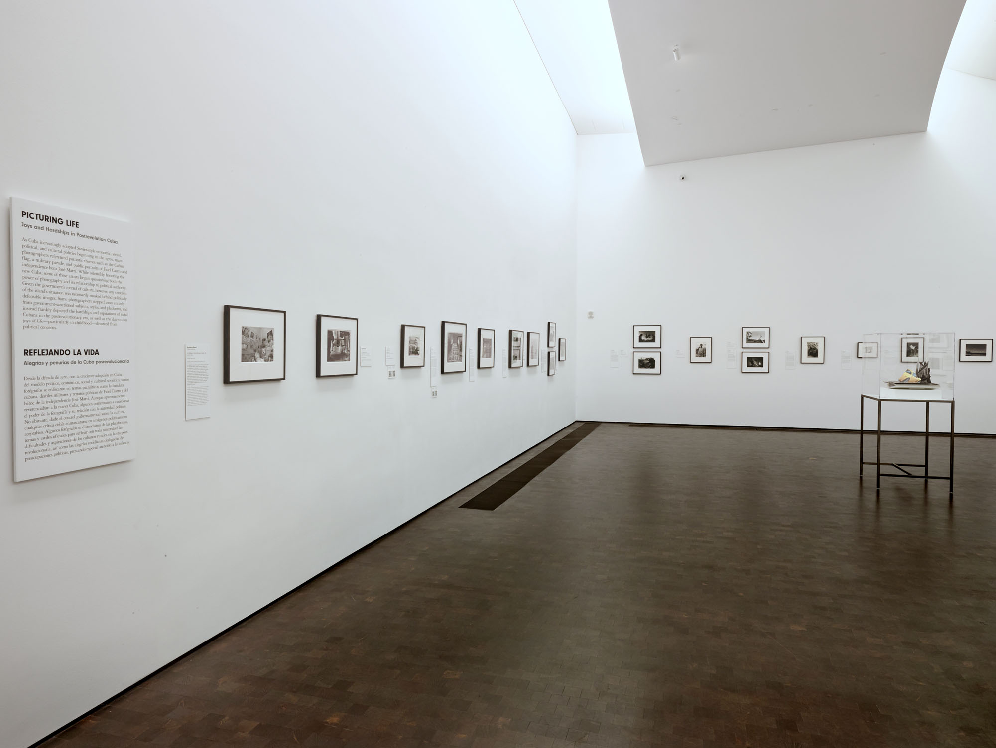 Installation view of the exhibition ‘Navigating the Waves: Contemporary Cuban Photography’ at the Museum of Fine Arts, Houston showing at left the wall text for the section "Picturing Life: Joys and Hardships in Postrevolution Cuba" Installation view of the exhibition ‘Navigating the Waves: Contemporary Cuban Photography’ at the Museum of Fine Arts, Houston showing at left the wall text for the section "Picturing Life: Joys and Hardships in Postrevolution Cuba"