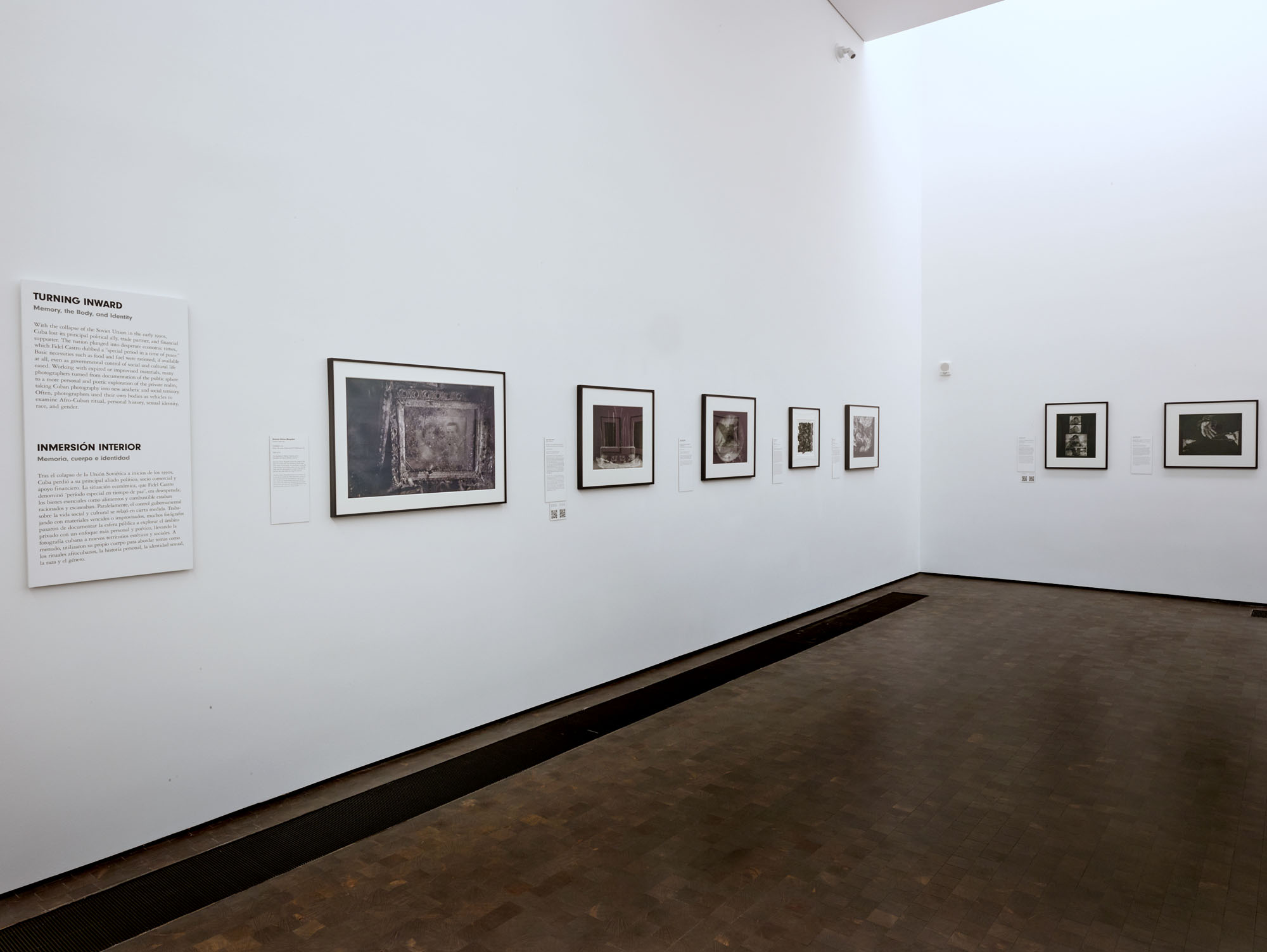Installation view of the exhibition ‘Navigating the Waves: Contemporary Cuban Photography’ at the Museum of Fine Arts, Houston showing at left the wall text for the section "Turning Inward: Memory, the Body, and Identity" Installation view of the exhibition ‘Navigating the Waves: Contemporary Cuban Photography’ at the Museum of Fine Arts, Houston showing at left the wall text for the section "Turning Inward: Memory, the Body, and Identity"
