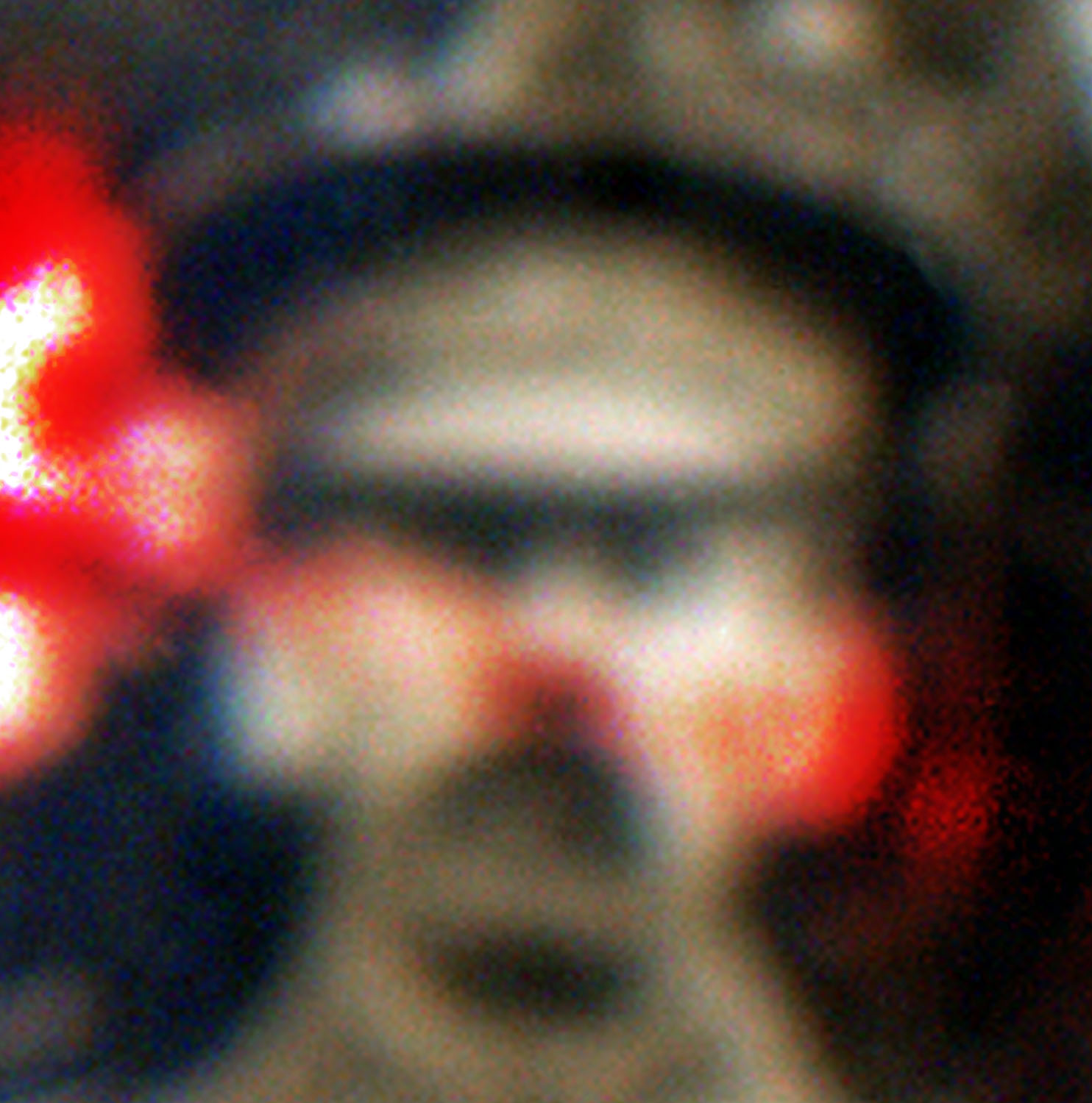 Marcus Bunyan (Australian, b. 1958) 'Untitled' from the series 'The shadow takes another form' 2024-2025