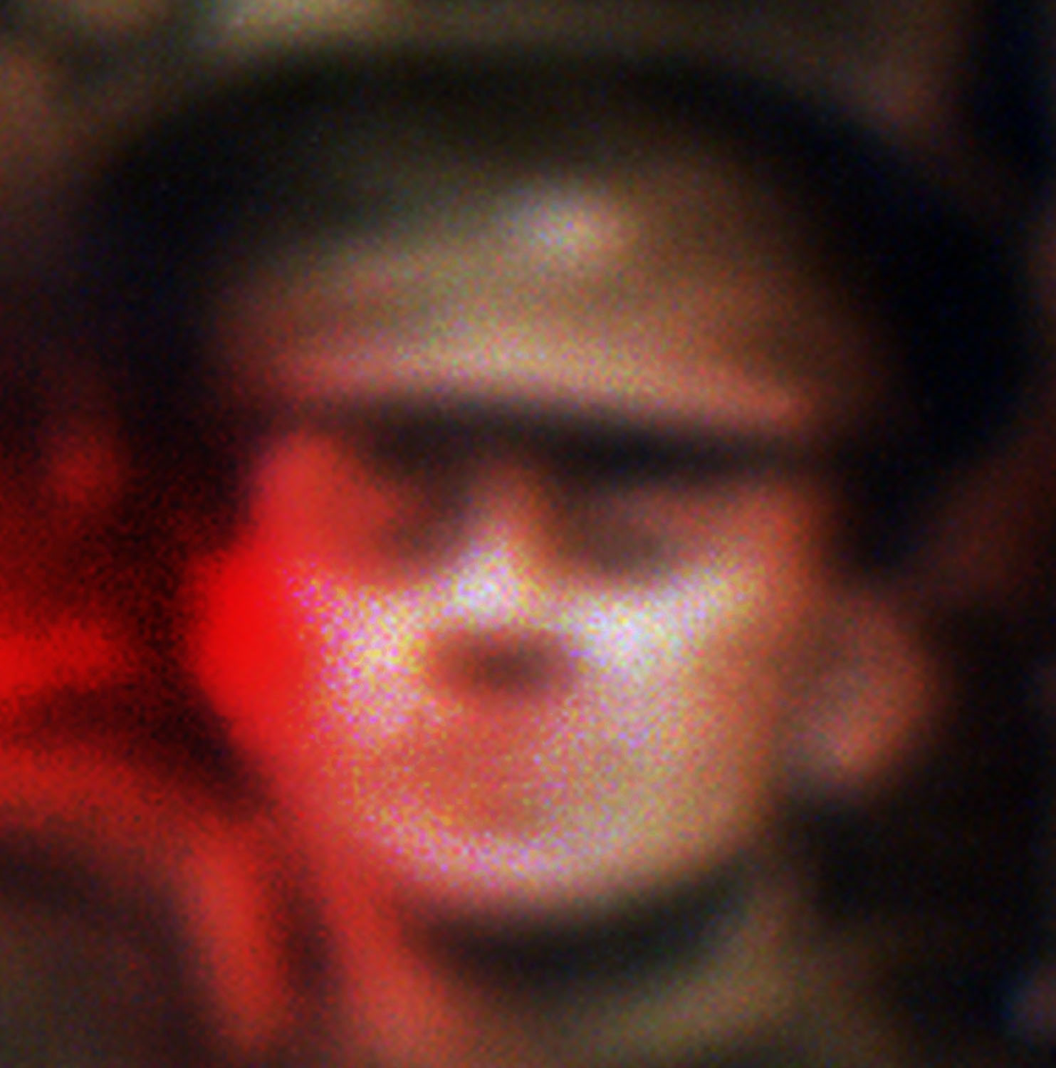 Marcus Bunyan (Australian, b. 1958) 'Untitled' from the series 'The shadow takes another form' 2024-2025