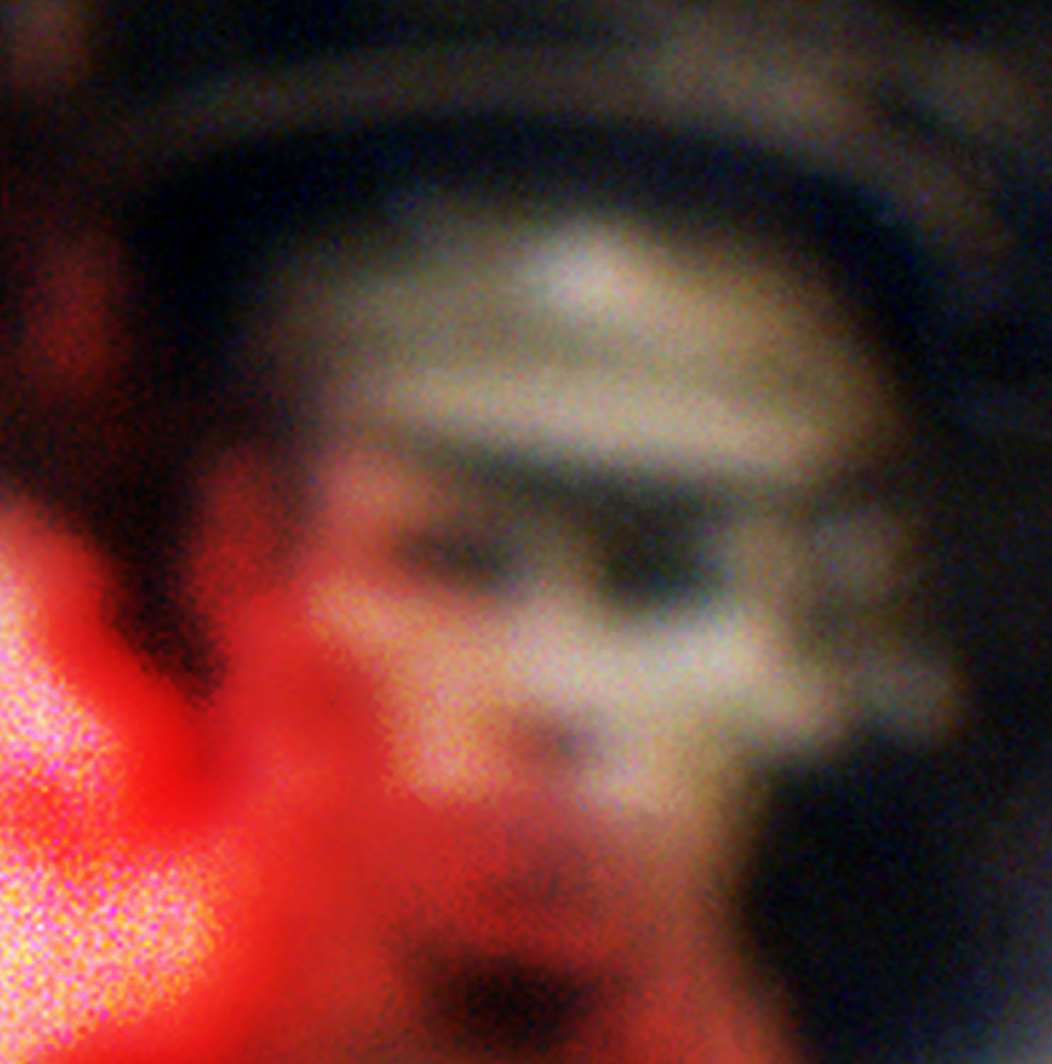 Marcus Bunyan (Australian, b. 1958) 'Untitled' from the series 'The shadow takes another form' 2024-2025