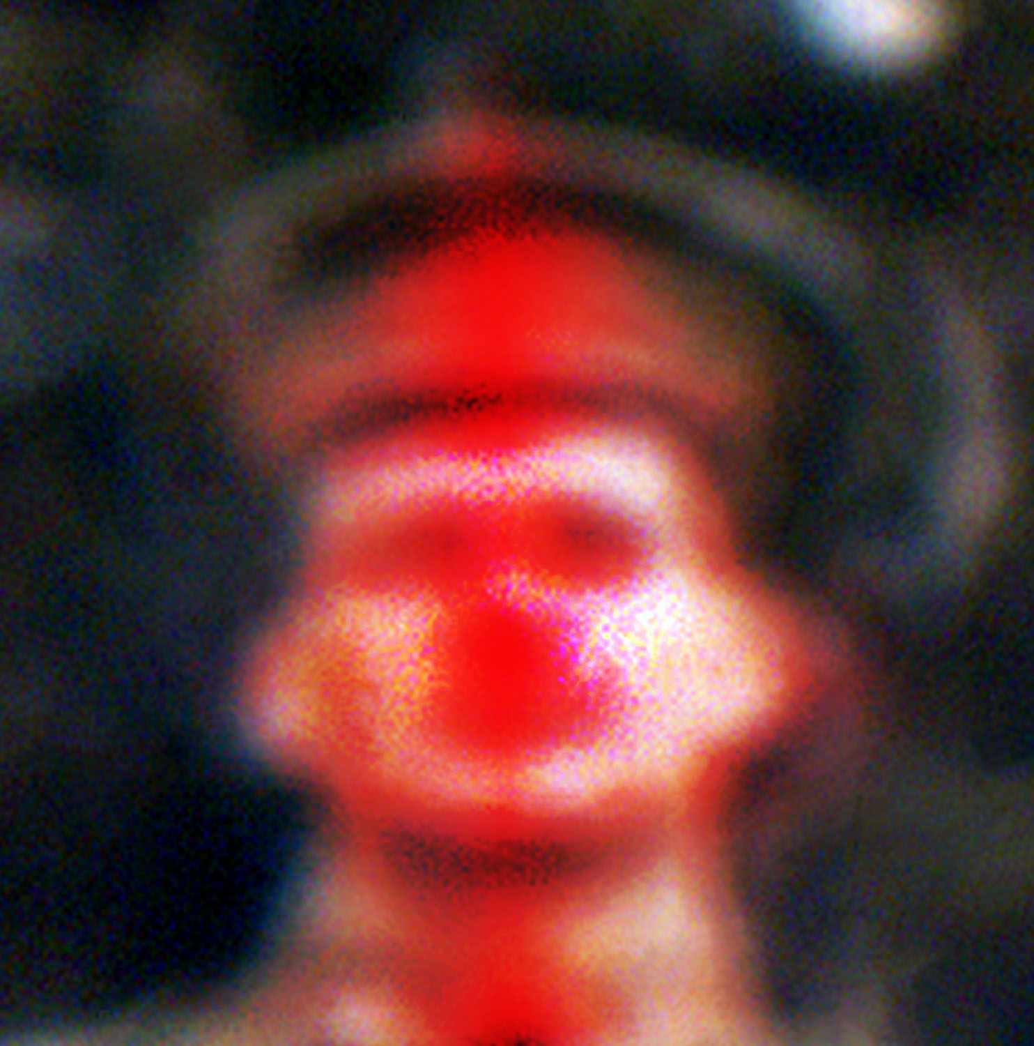 Marcus Bunyan (Australian, b. 1958) 'Untitled' from the series 'The shadow takes another form' 2024-2025