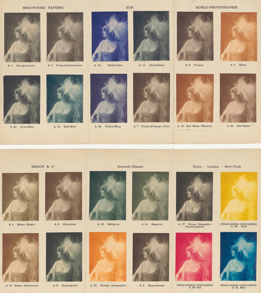 Ad. Braun et Cie. (Jean Adolphe Braun (French, 1812-1877)) 'Sample board of various pigment papers from Ad. Braun et Cie.' around 1910 Ad. Braun et Cie. (Jean Adolphe Braun (French, 1812-1877))
'Sample board of various pigment papers from Ad. Braun et Cie.' around 1910