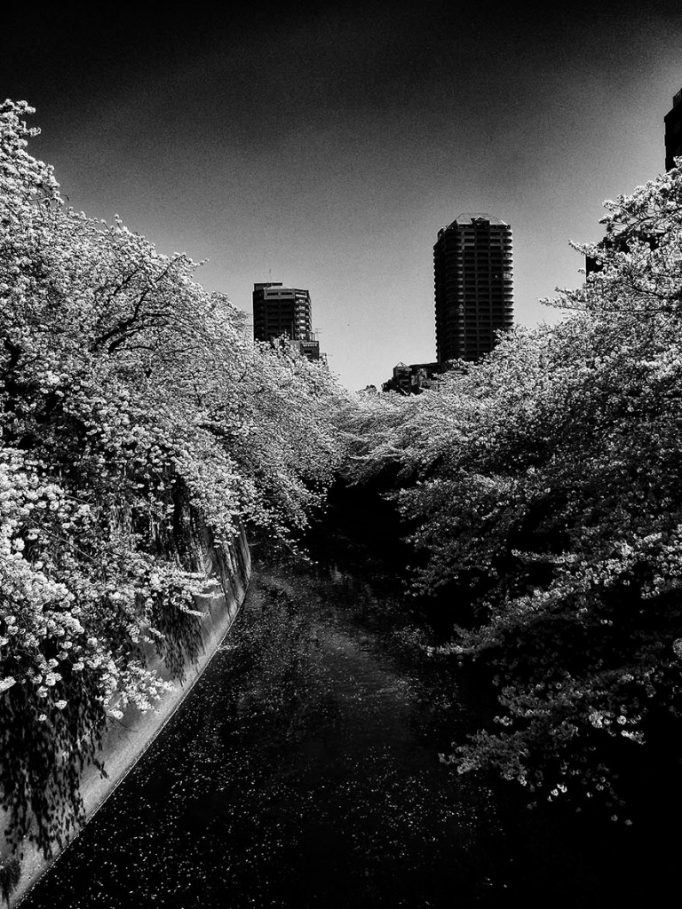 Daido Moriyama (Japanese, b. 1938) 'Untitled', from 'Ango' 2017