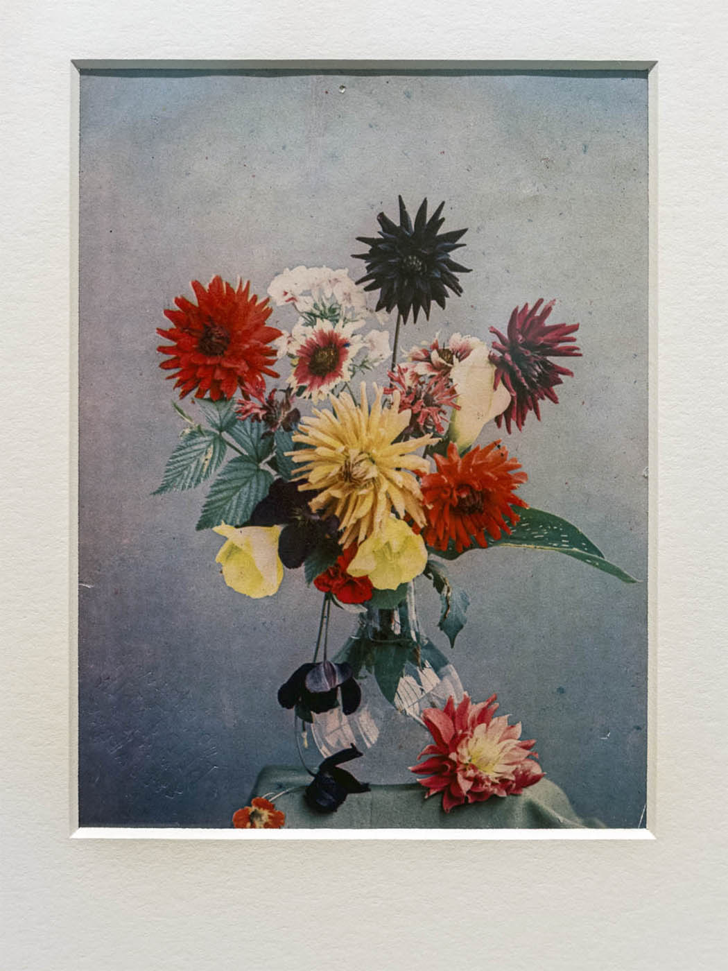 Ernst König (German, 1869-1924) 'Still-life with flowers' 1905 Ernst König (German, 1869-1924) 'Still-life with flowers' 1905