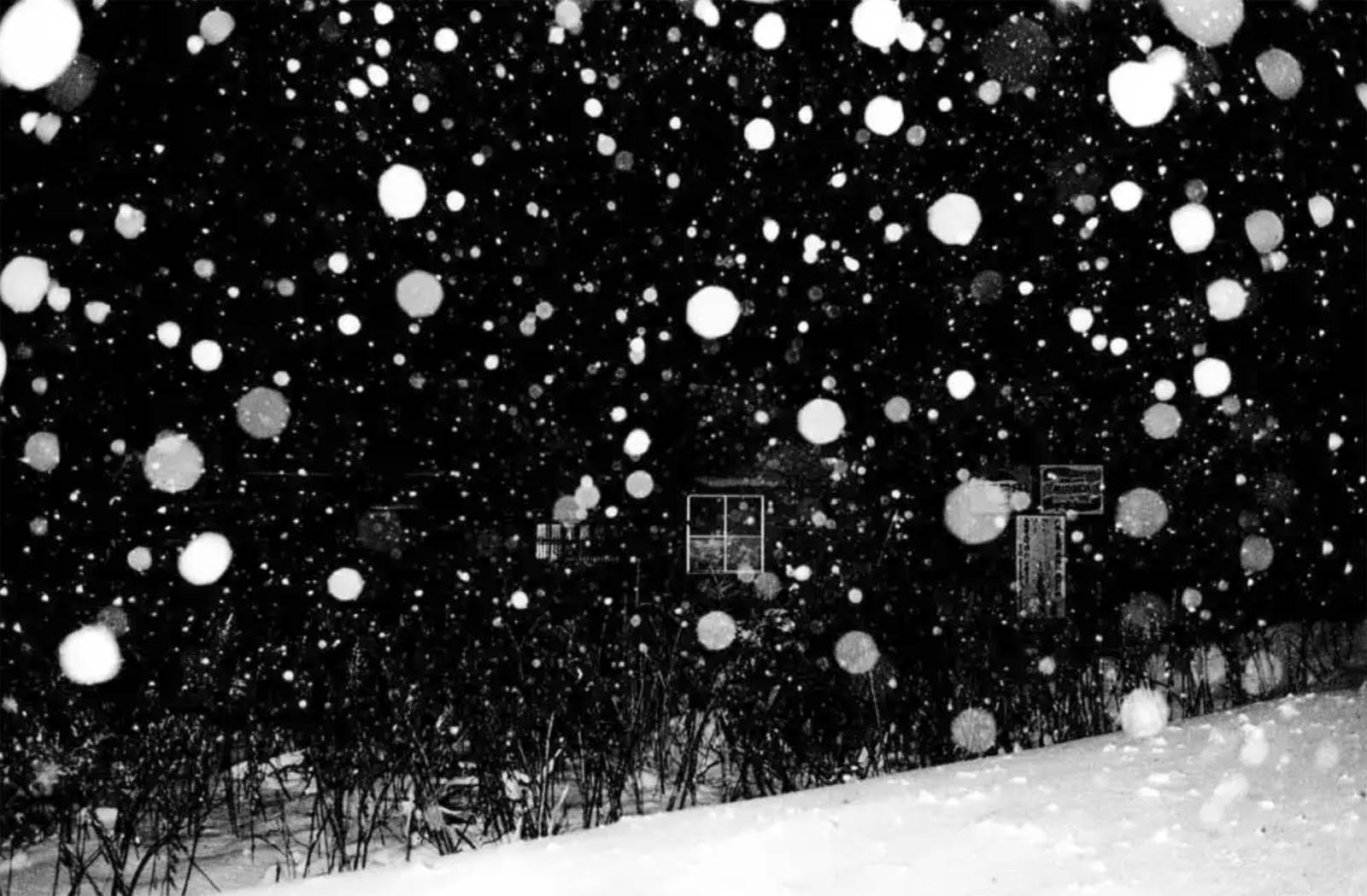 Daido Moriyama (Japanese, b. 1938) 'Hokkaido' 1978 Daido Moriyama (Japanese, b. 1938) 'Hokkaido' 1978