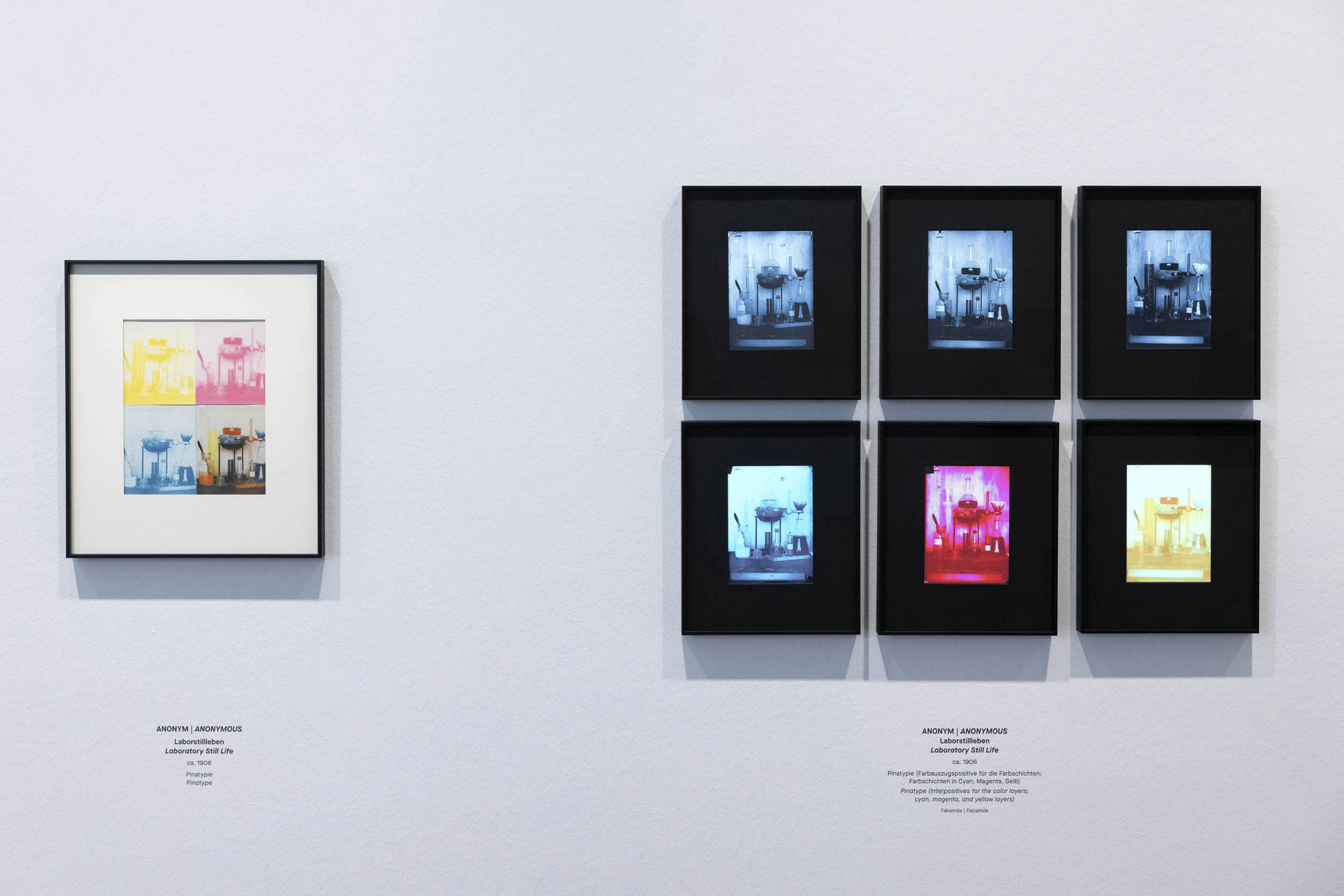 Installation view of the exhibition 'True Colors: Color in Photography from 1849 to 1955' at Albertina Modern, Vienna showing Anonymous. 'Laboratory Still Life' 1906 Installation view of the exhibition 'True Colors: Color in Photography from 1849 to 1955' at Albertina Modern, Vienna showing Anonymous. 'Laboratory Still Life' 1906