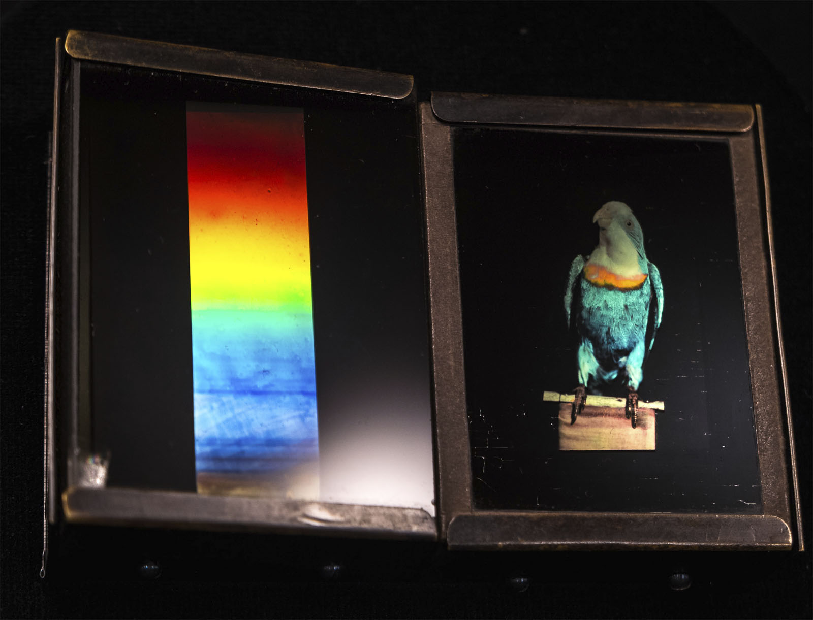 Installation view of the exhibition 'True Colors: Color in Photography from 1849 to 1955' at Albertina Modern Installation view of the exhibition 'True Colors: Color in Photography from 1849 to 1955' at Albertina Modern