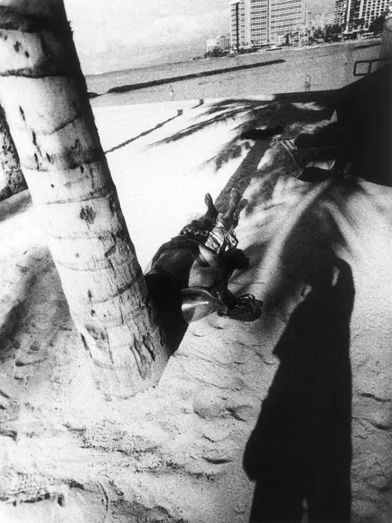 Daido Moriyama (Japanese, b. 1938) 'Hawaii' 2007