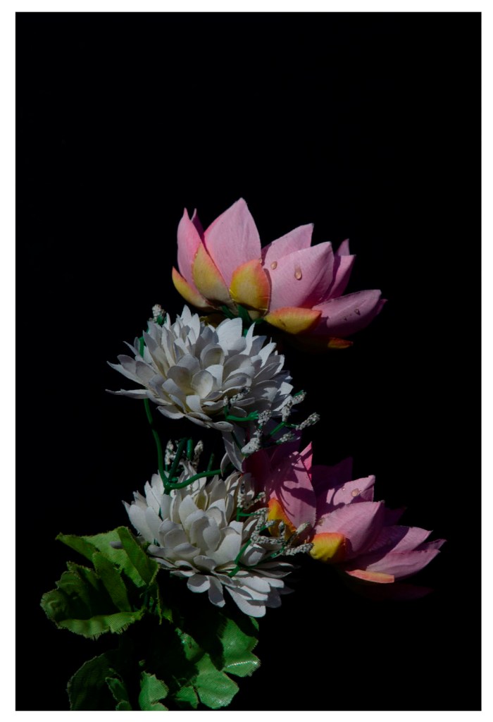 Sakiko Nomura (Japanese, b. 1967)
'Moonlit Night 015' 2023 from the exhibition 'Sakiko Nomura: Tender is the Night' at Fundación MAPFRE, Madrid, February - May, 2025